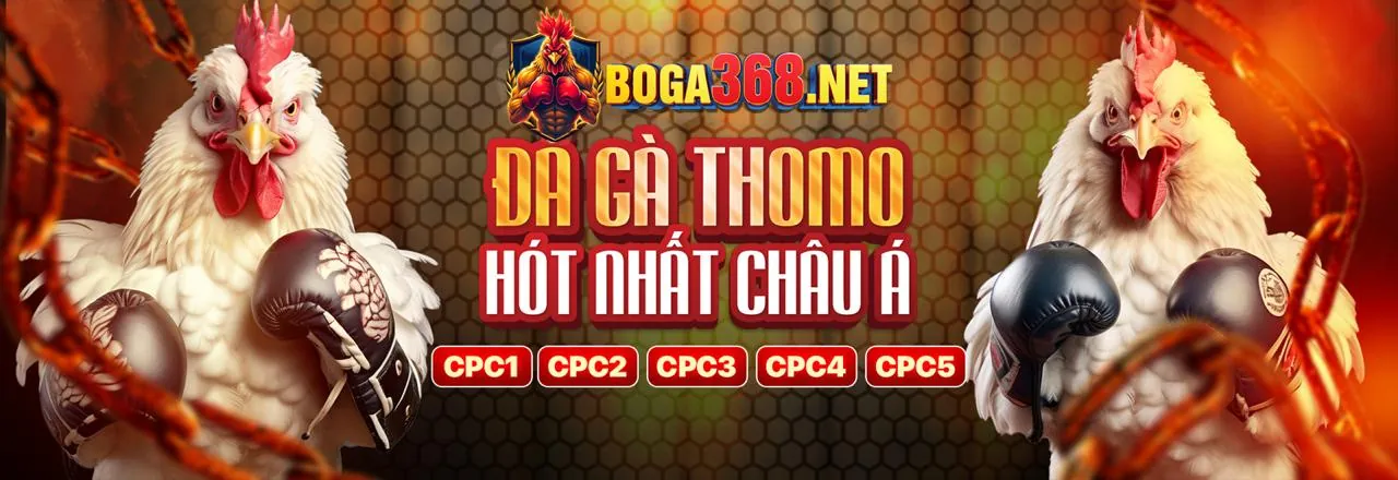 Đá gà trực tiếp 39bet11